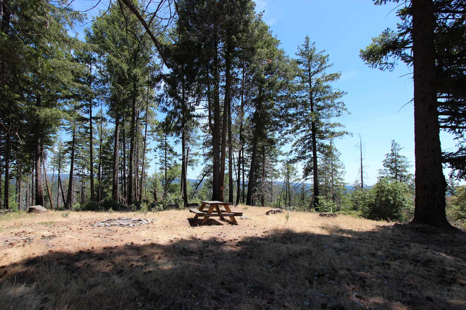 160 Acres amidst National Forest - Placerville, California - glamping.directory