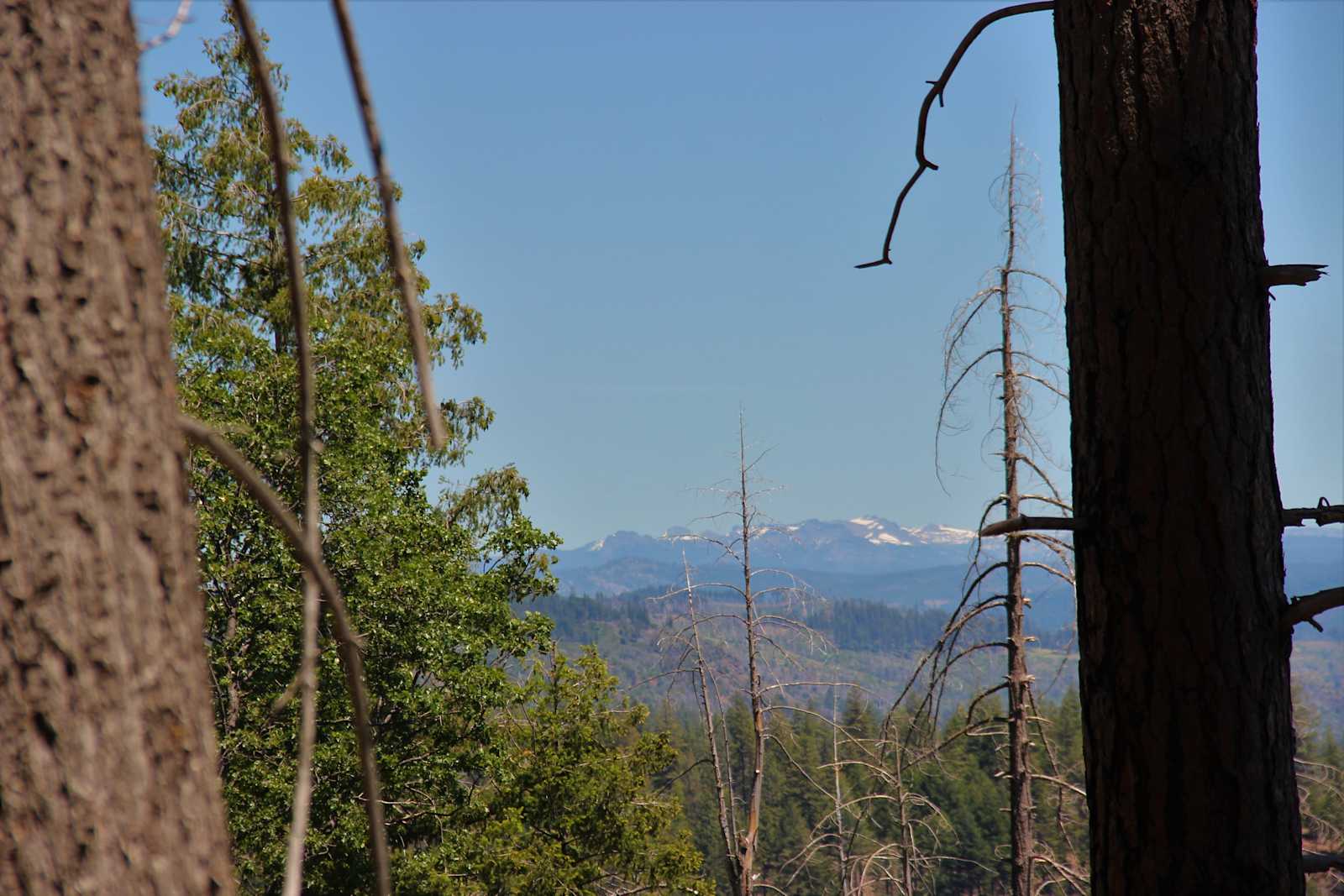 160 Acres amidst National Forest - glamping.directory
