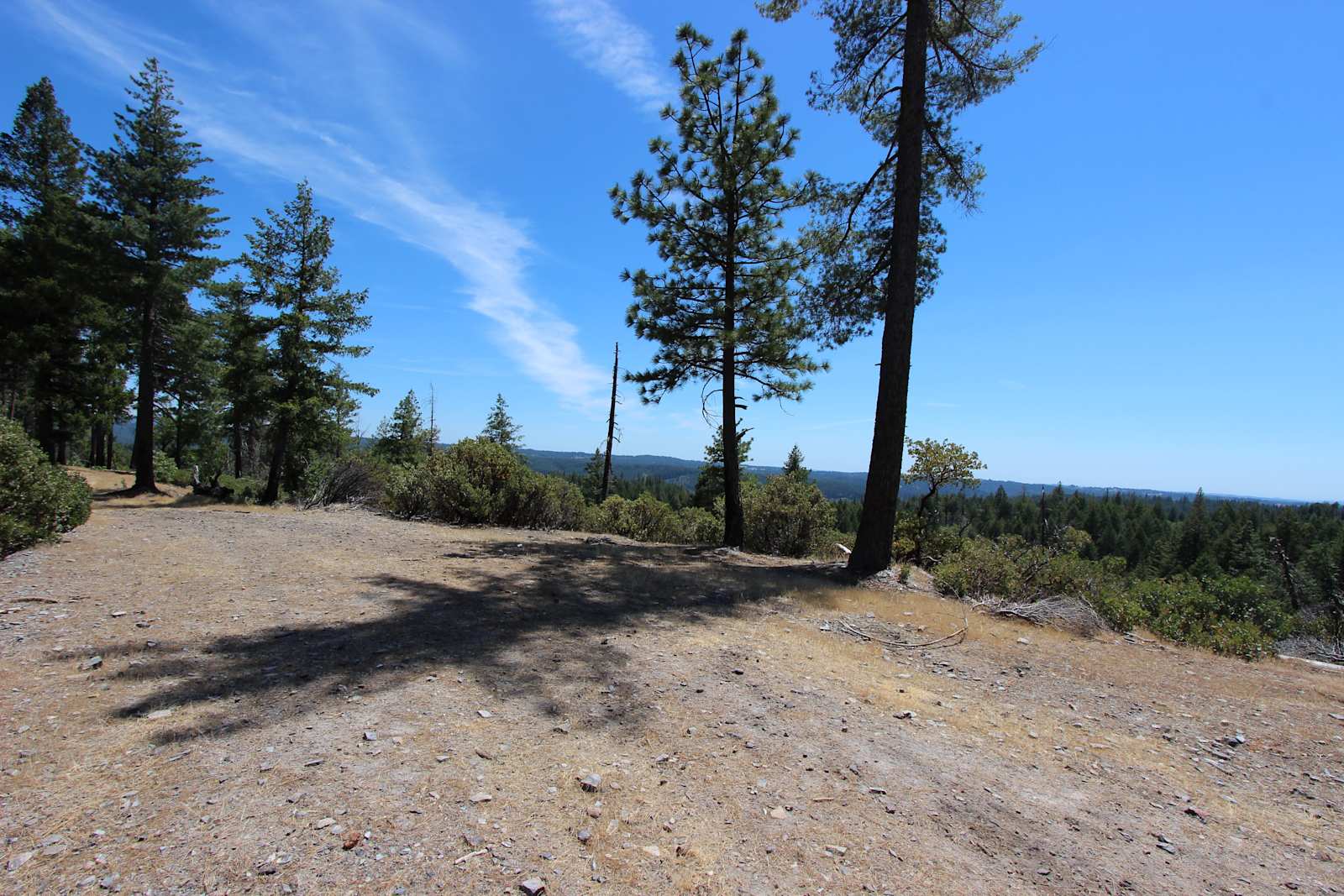 160 Acres amidst National Forest - Placerville, California - glamping.directory
