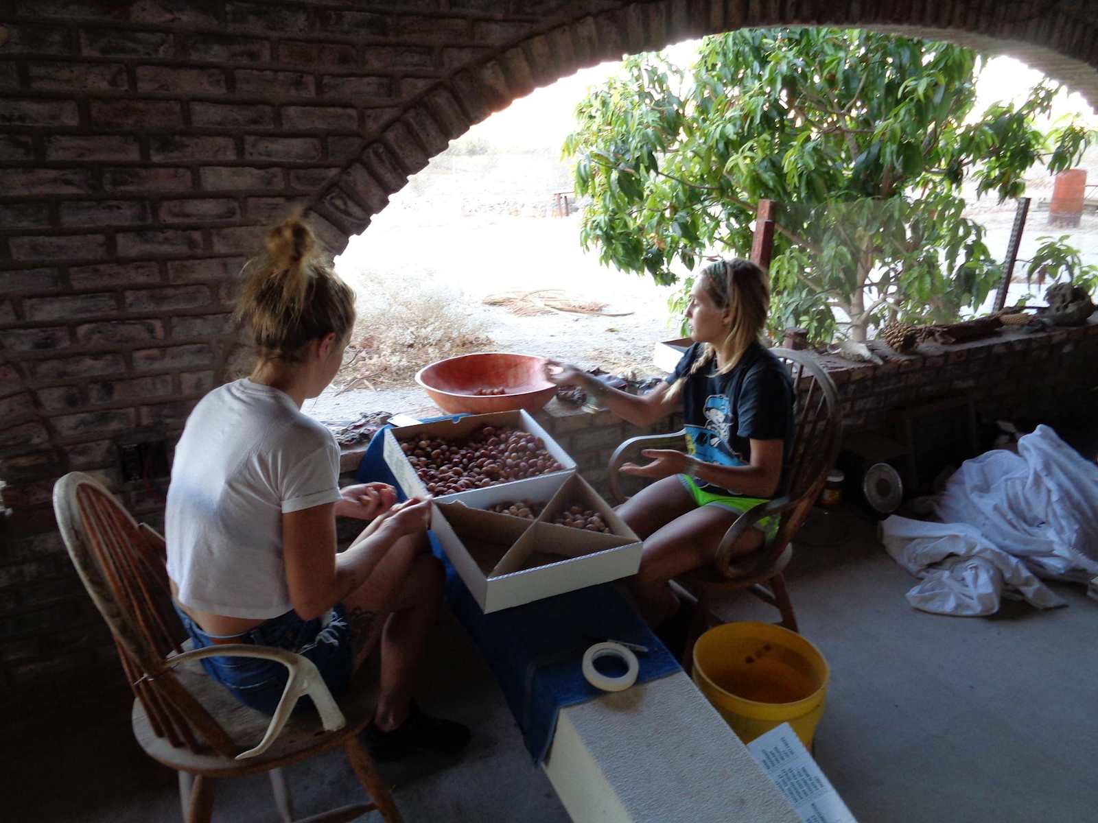 Private Hot Springs & Organic Farm - Bombay Beach, California - glamping.directory