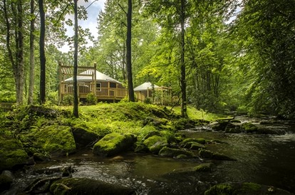 Heavenly Yurt with Modern Interior in Topton, North Carolina - Topton, North Carolina - glamping.directory