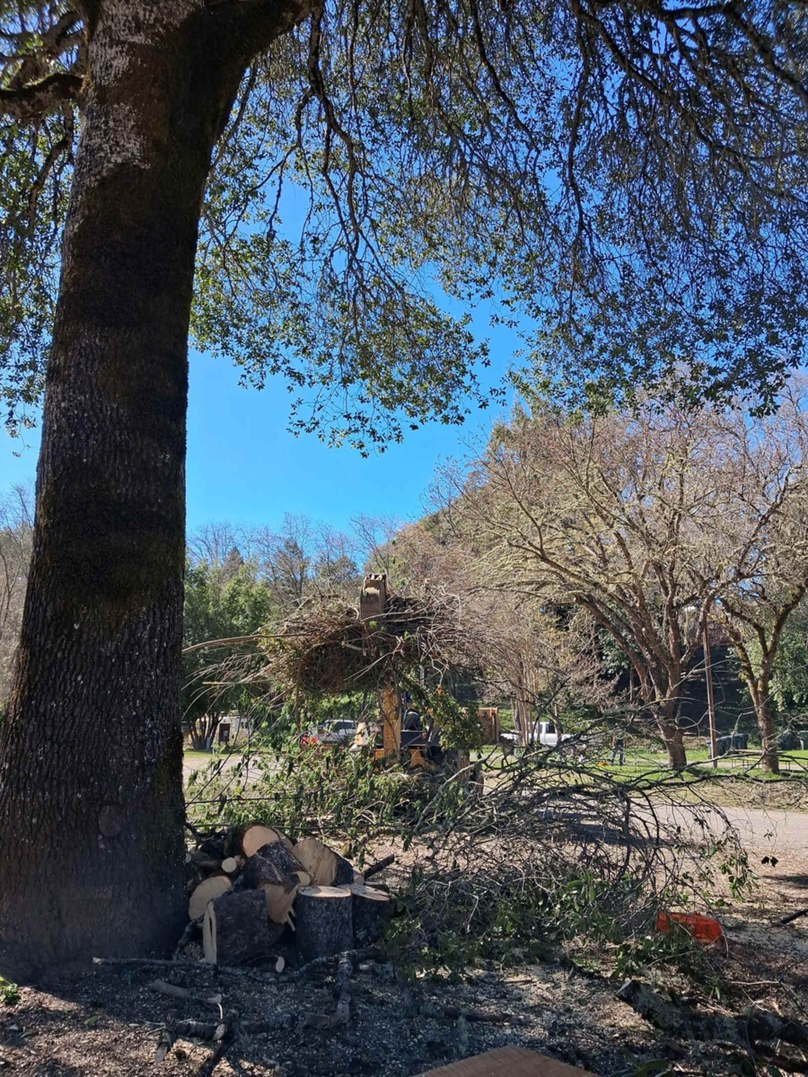 Ridgewood Ranch RV Park & Campground - Willits, California - glamping.directory