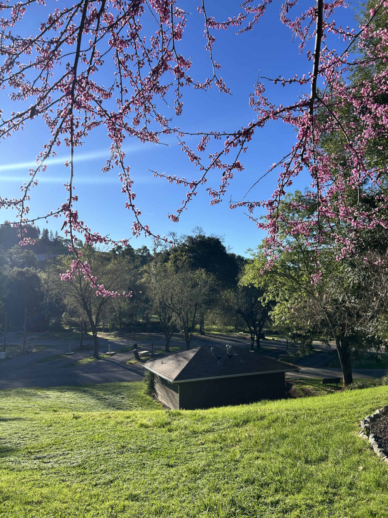 Ridgewood Ranch RV Park & Campground - Willits, California - glamping.directory