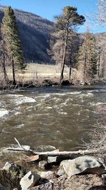 Simple Mountain Cabin for a Rustic Mountain Retreat near Well Gulch Nature Trail, CO - Bellvue, Colorado - glamping.directory
