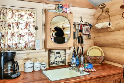 Simple and Historic Fishing Log Cabin for a Rustic Retreat to Northern Arizona - Parks, Arizona - glamping.directory