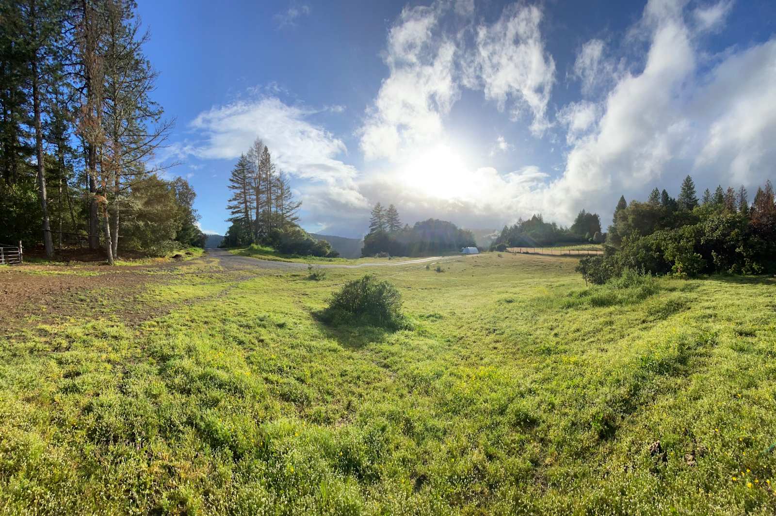 Silver Dragon Ranch - Willits, California - glamping.directory