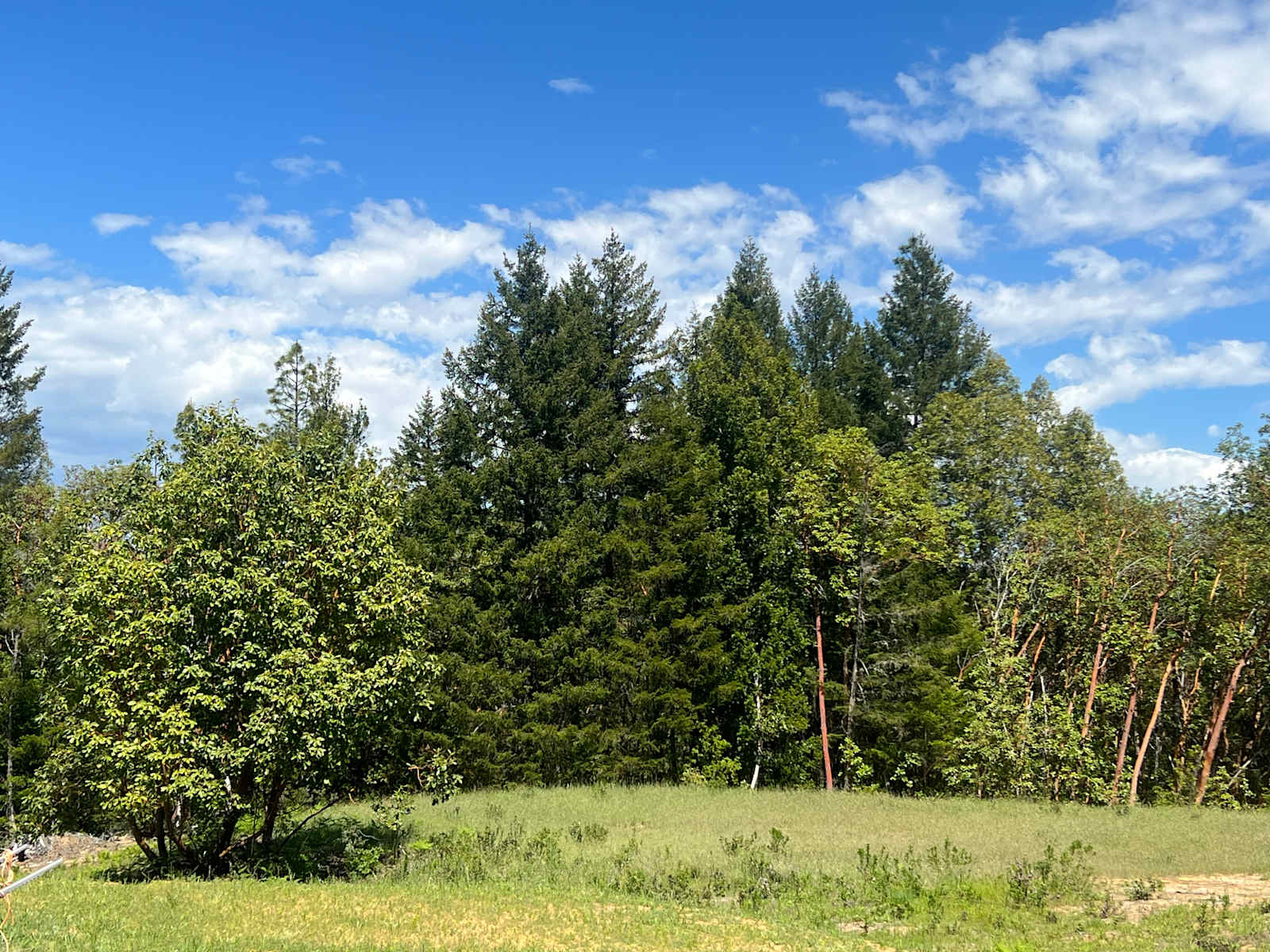 Silver Dragon Ranch - glamping.directory