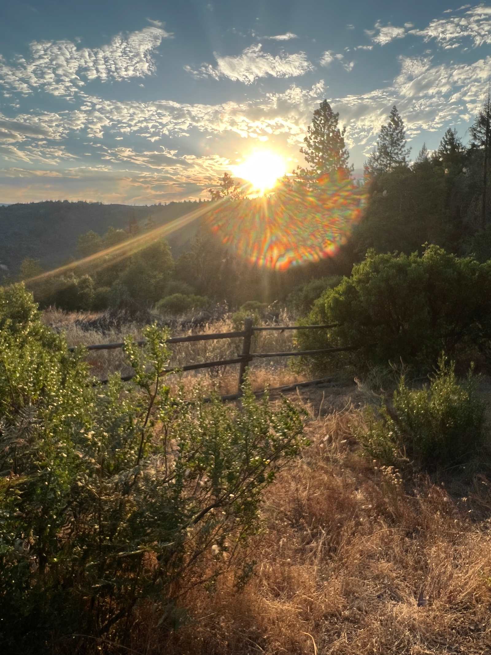 Silver Dragon Ranch - Willits, California - glamping.directory