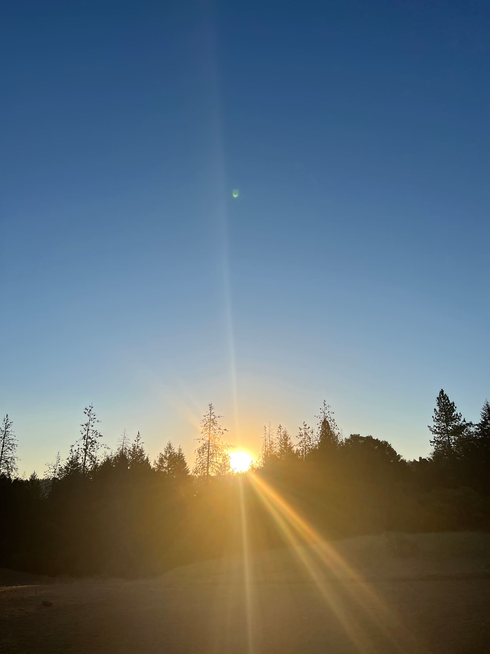 Silver Dragon Ranch - Willits, California - glamping.directory