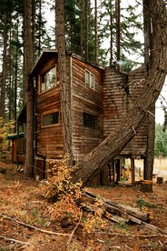 Tree House Style Cabin Nestled at the Foot of Scenic Snow-Capped Mt. Adams, Washington - White Salmon, Washington - glamping.directory