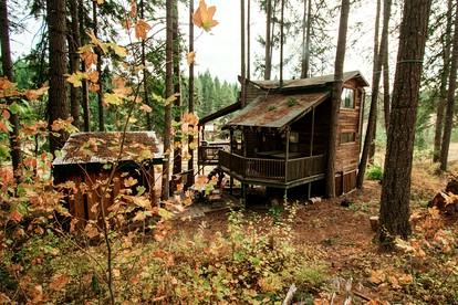 Tree House Style Cabin Nestled at the Foot of Scenic Snow-Capped Mt. Adams, Washington - White Salmon, Washington - glamping.directory