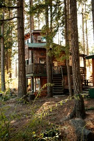 Tree House Style Cabin Nestled at the Foot of Scenic Snow-Capped Mt. Adams, Washington - White Salmon, Washington - glamping.directory