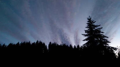 Tree House Style Cabin Nestled at the Foot of Scenic Snow-Capped Mt. Adams, Washington - White Salmon, Washington - glamping.directory