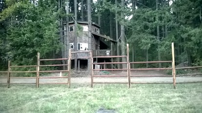 Tree House Style Cabin Nestled at the Foot of Scenic Snow-Capped Mt. Adams, Washington - White Salmon, Washington - glamping.directory