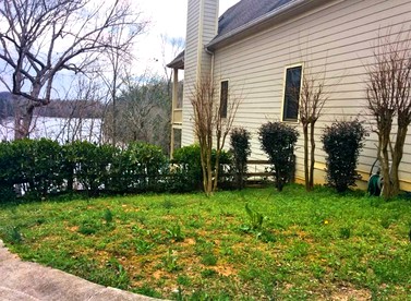 Pet-Friendly Vacation Rental on Lake Lanier in Dawsonville, Georgia - Dawsonville, Georgia - glamping.directory