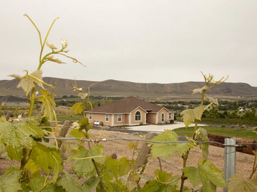 Secluded Vacation Rental with Picturesque Vineyard Views in Benton City, Washington - Benton City, Washington - glamping.directory