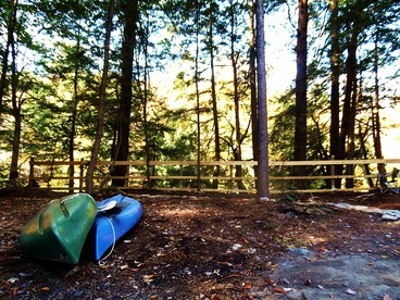 Rustic Woodland Cabin Rental near Oneida Lake, New York - Taberg, New York - glamping.directory