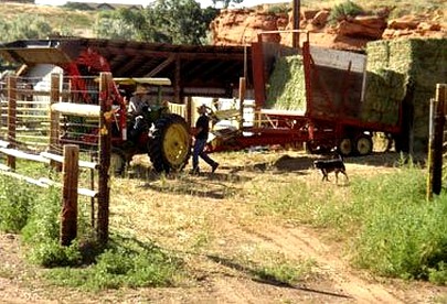 Cozy Sheepherder's Wagon Near Yellowstone National Park, Wyoming - Cody, Wyoming - glamping.directory