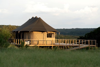 Exceptional Safari Tent Rental in Burnet, Texas, for Unforgettable Glamping Escapes - glamping.directory