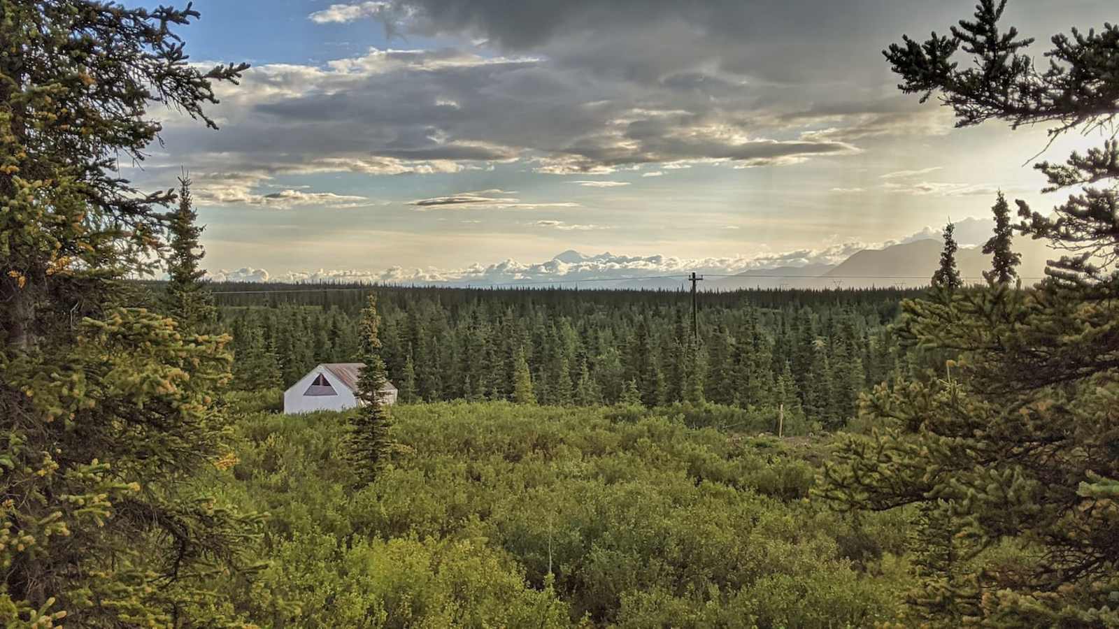 Wildthingz Dog Mushing - Cantwell, Alaska - glamping.directory