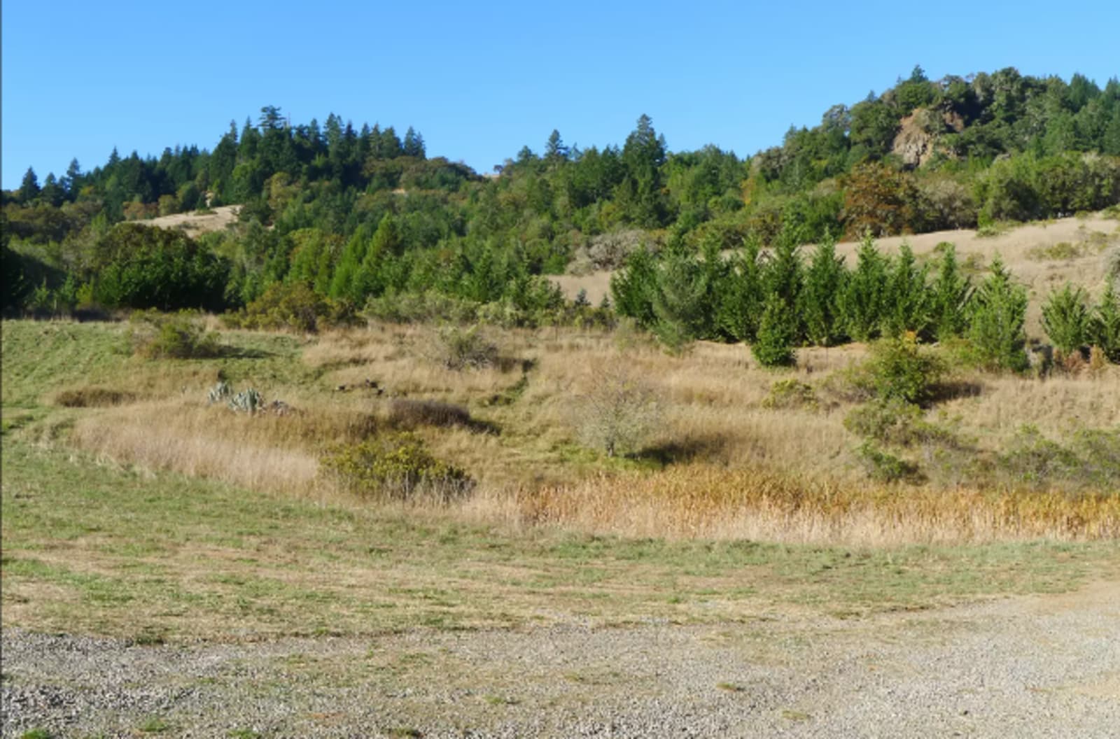 Humboldt Hills Experience - Redway, California - glamping.directory