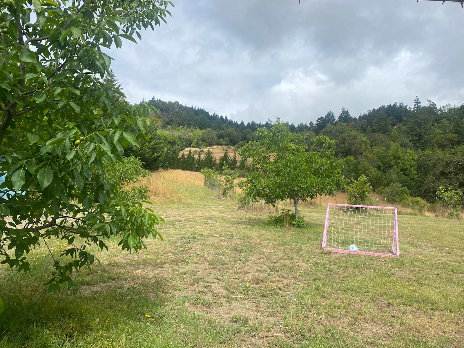 Humboldt Hills Experience - Redway, California - glamping.directory