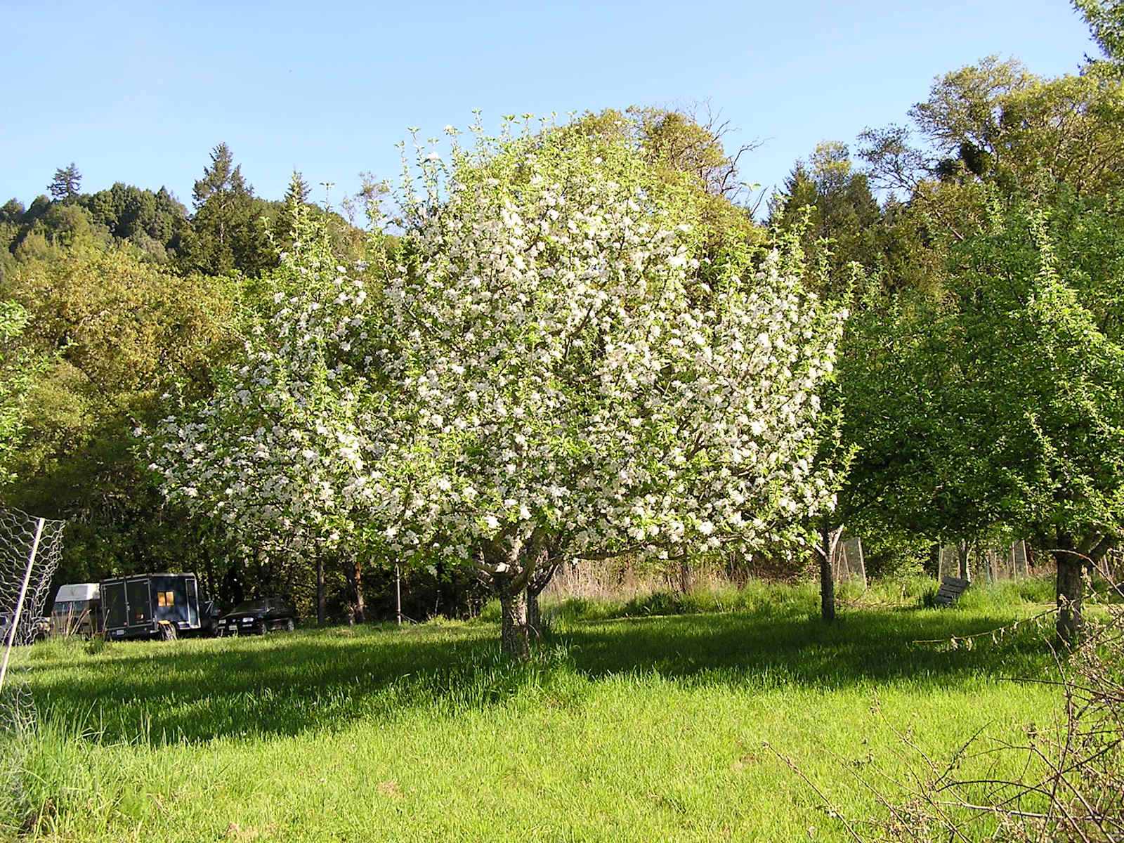 Humboldt Hills Experience - glamping.directory