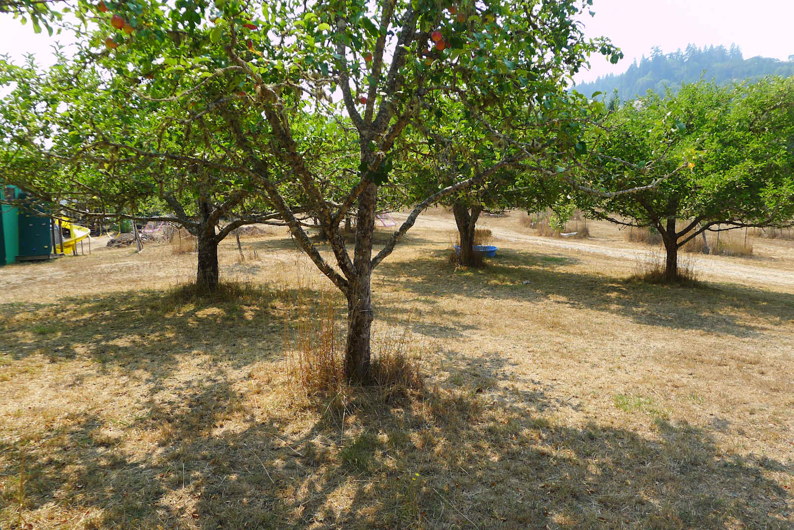 Humboldt Hills Experience - Redway, California - glamping.directory