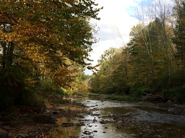 Cozy Getaway Cabin for Two near Esopus River in Shandaken, New York - Shandaken, New York - glamping.directory