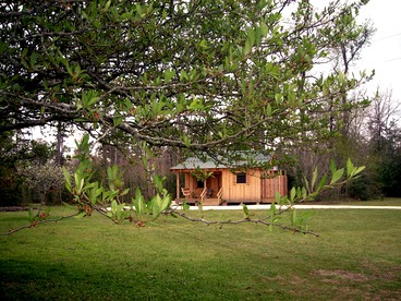 Rustic Cabin Getaway with Stunning Front Porch near Beaumont, Texas - Kountze, Texas - glamping.directory