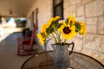 Charming Ranch-Style House Filled with Antiques near Round Top, Texas - New Ulm, Texas - glamping.directory