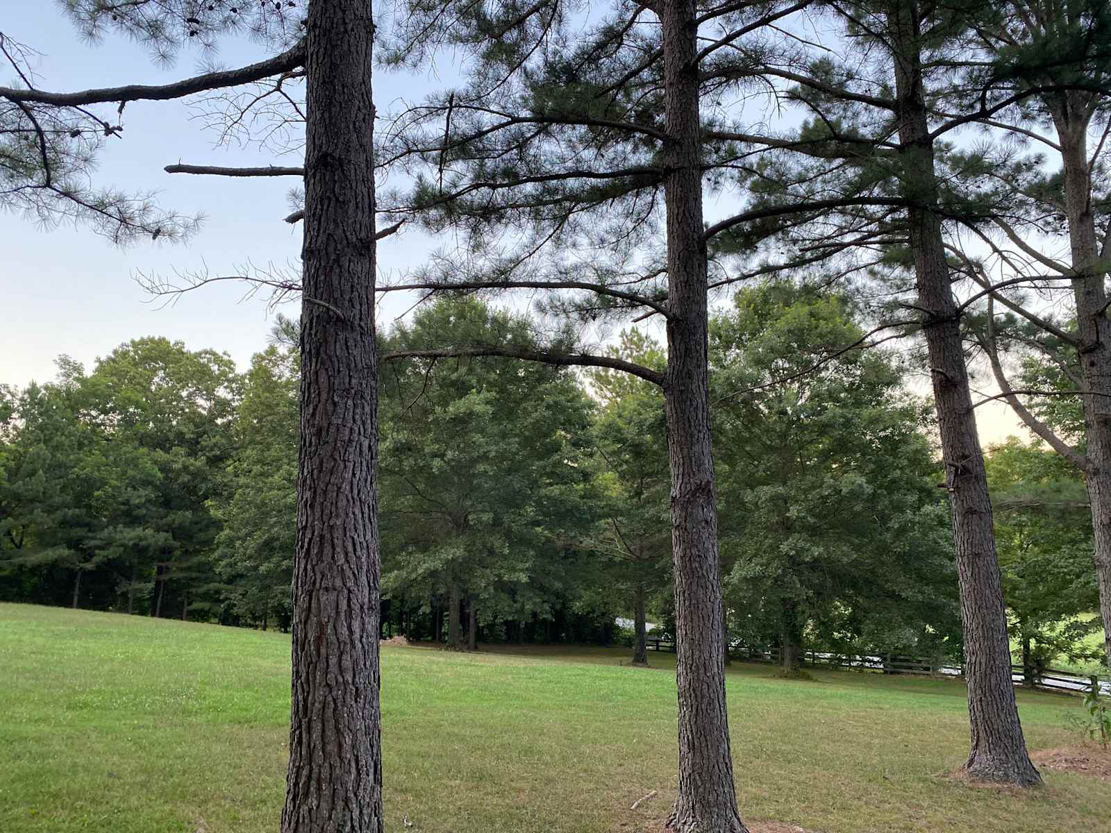 Camp Bentonville - Bentonville, Arkansas - glamping.directory