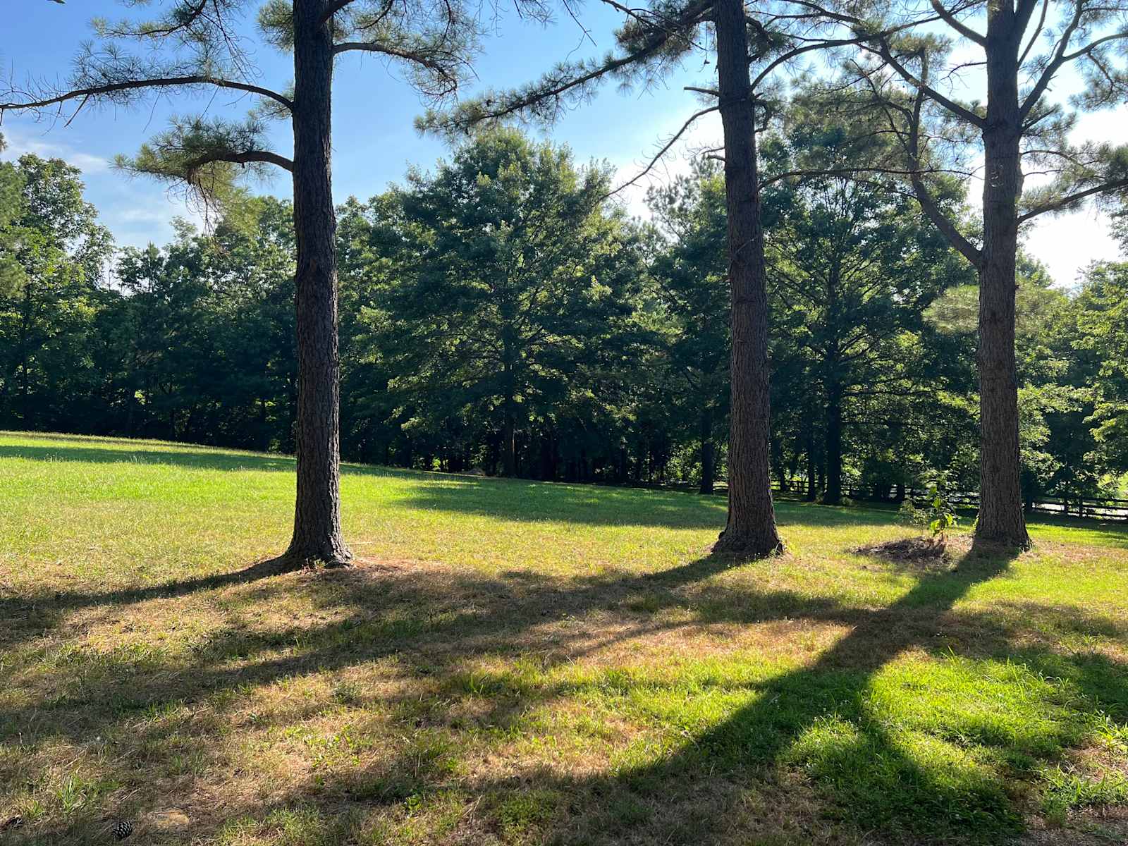 Camp Bentonville  - glamping.directory