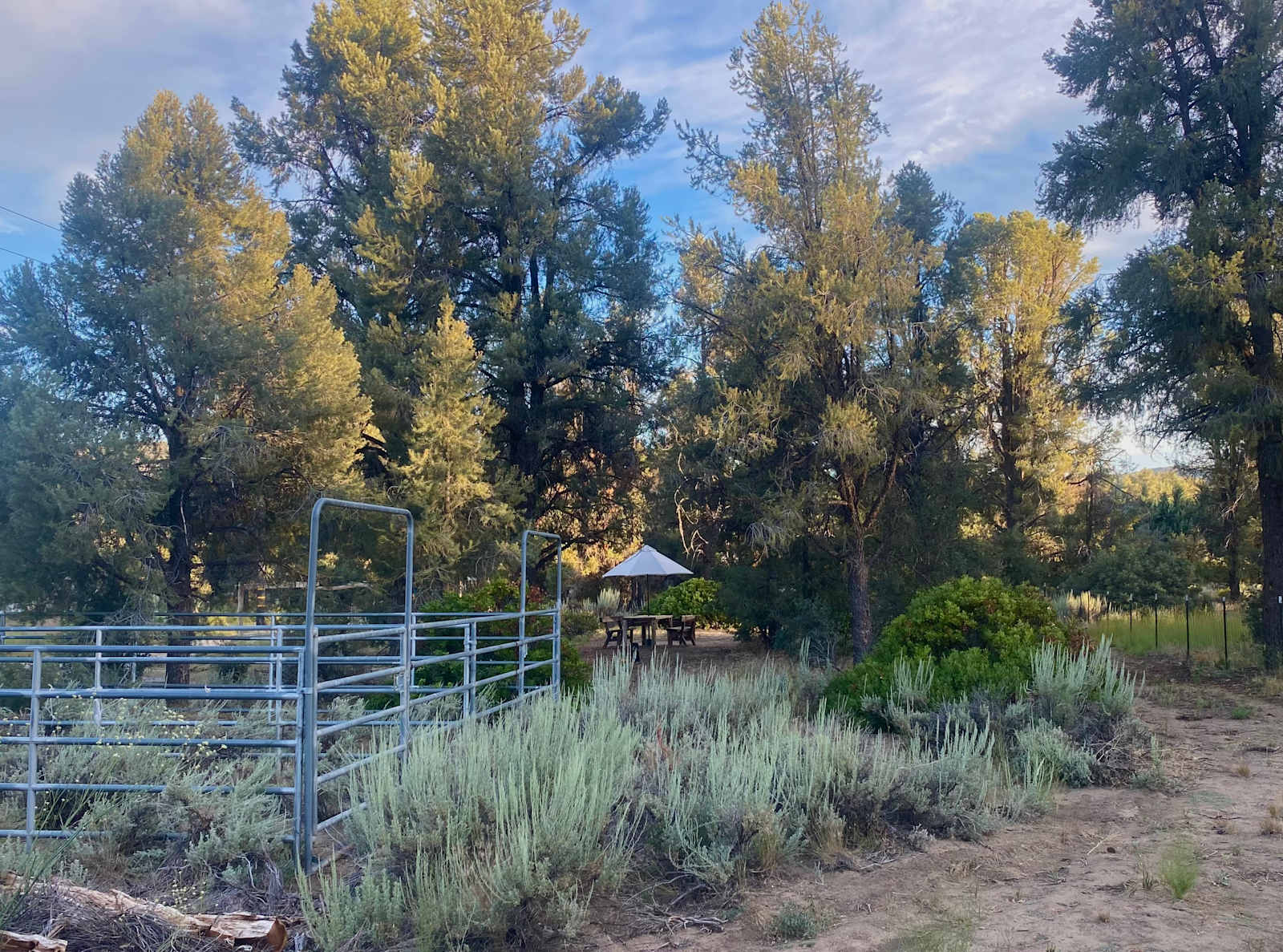 Gem of the Bend (Horses welcome) - Frazier Park, California - glamping.directory