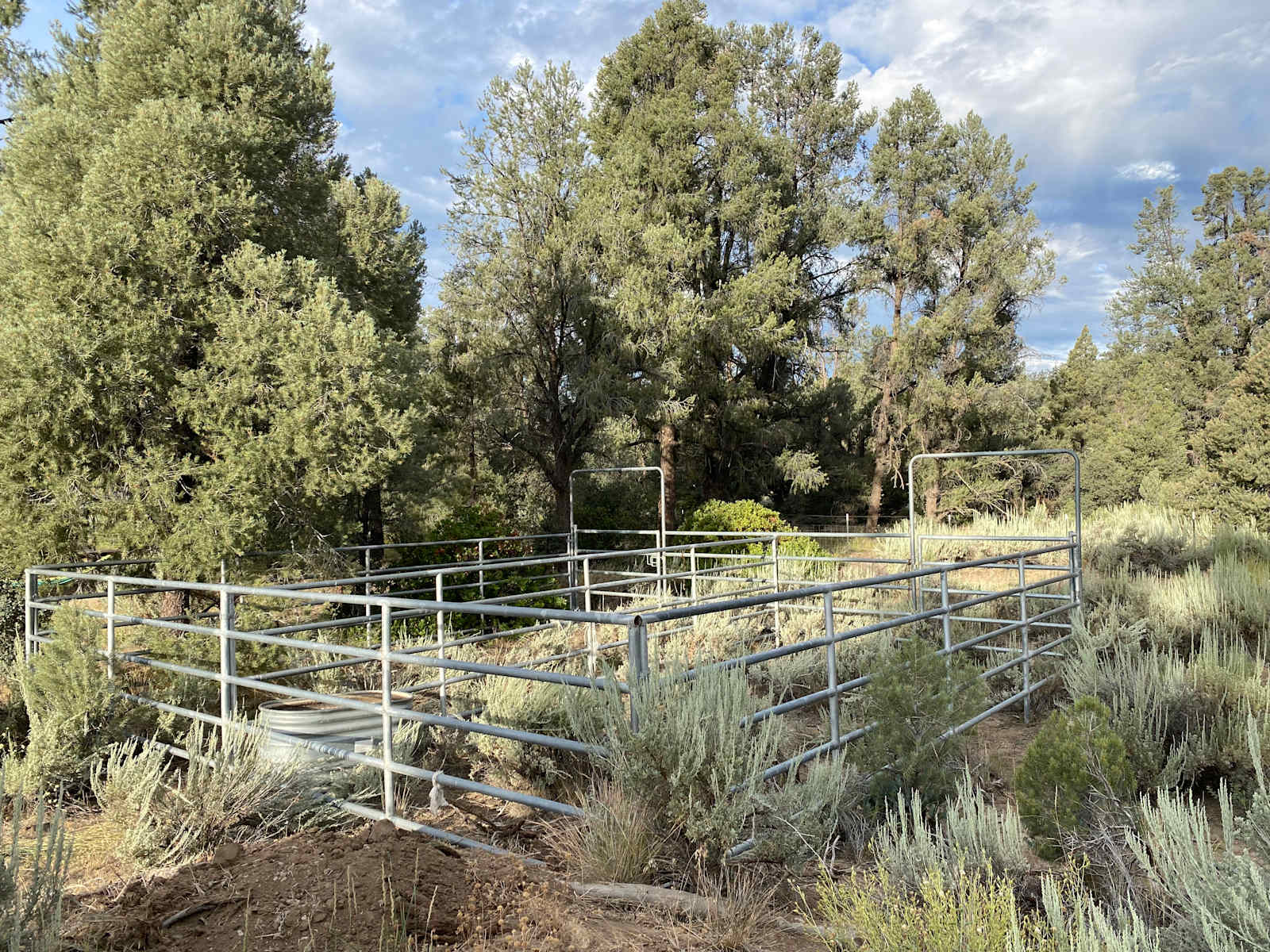 Gem of the Bend (Horses welcome) - Frazier Park, California - glamping.directory