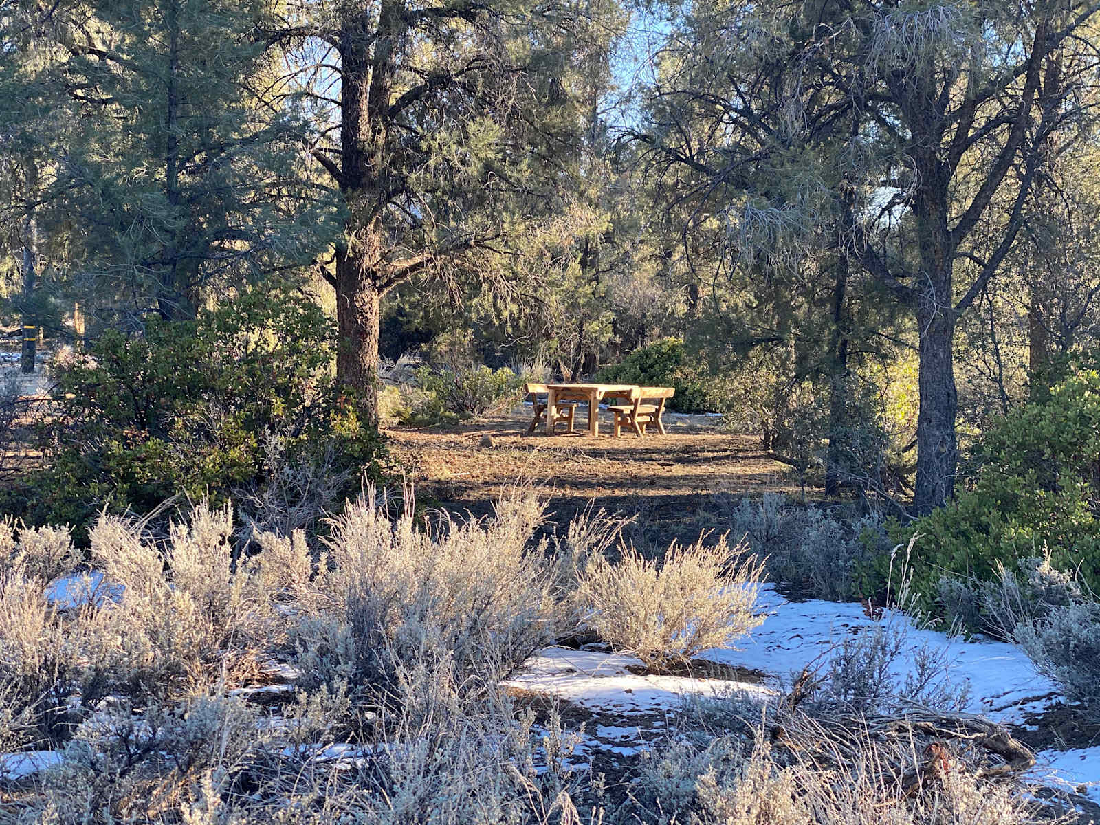Gem of the Bend (Horses welcome) - Frazier Park, California - glamping.directory