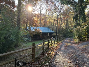 Cozy Mountain Cabin with Fire Pit and Forest Views near Downtown Black Mountain, NC - Black Mountain, North Carolina - glamping.directory