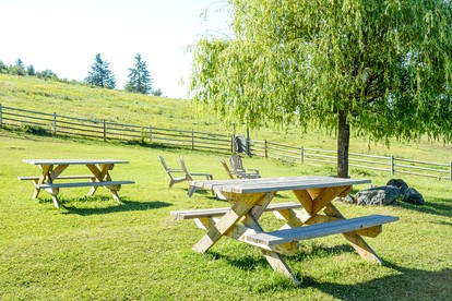 Upscale Safari Tents on Working Dude Ranch, Washington - Kettle Falls, Washington - glamping.directory