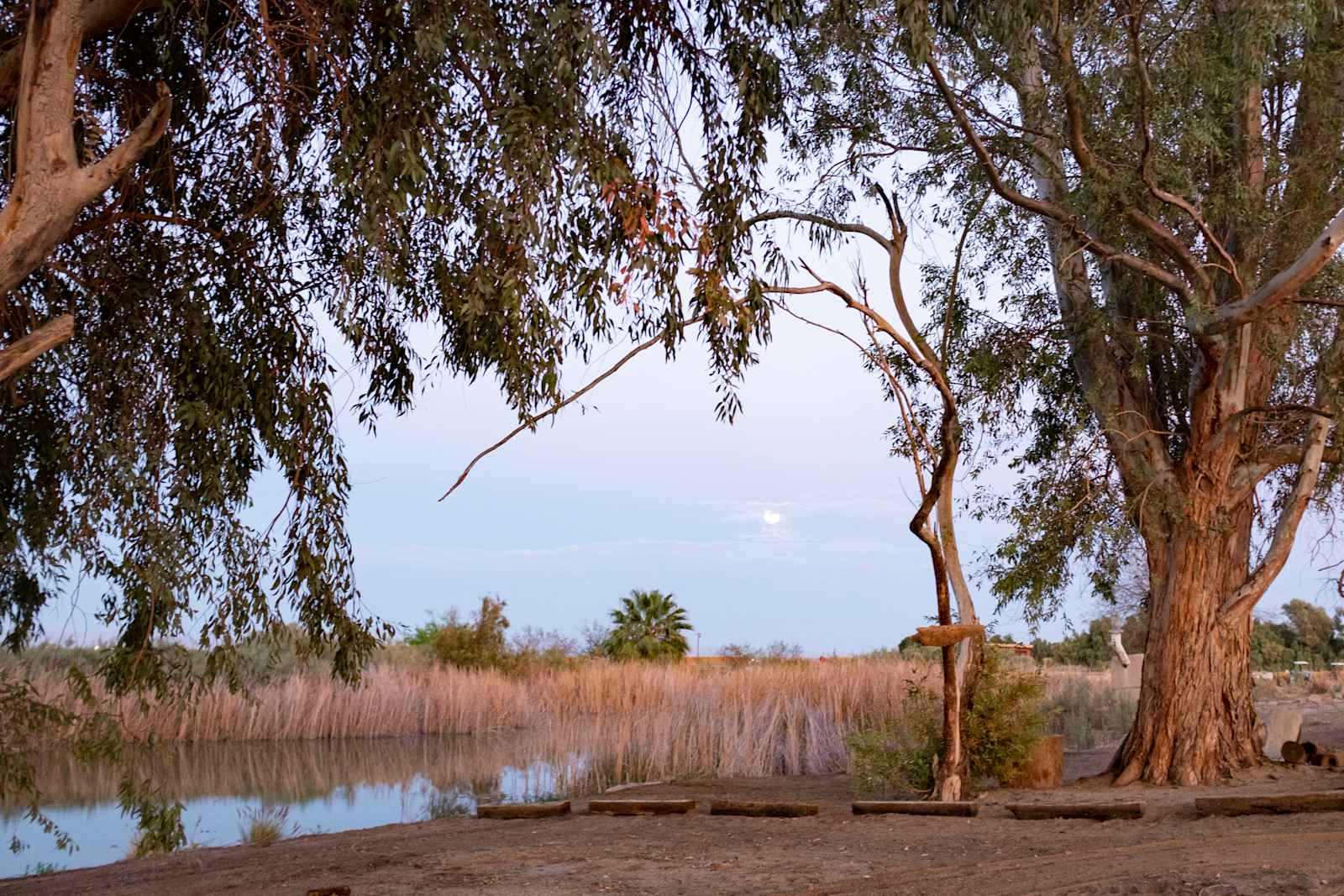 Oasis Ranch - Westmorland, California - glamping.directory