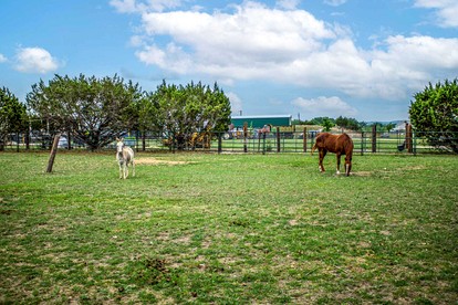 Relaxing Waterfront Cabin Getaway for Families and Couples in Medina, Texas - Medina, Texas - glamping.directory
