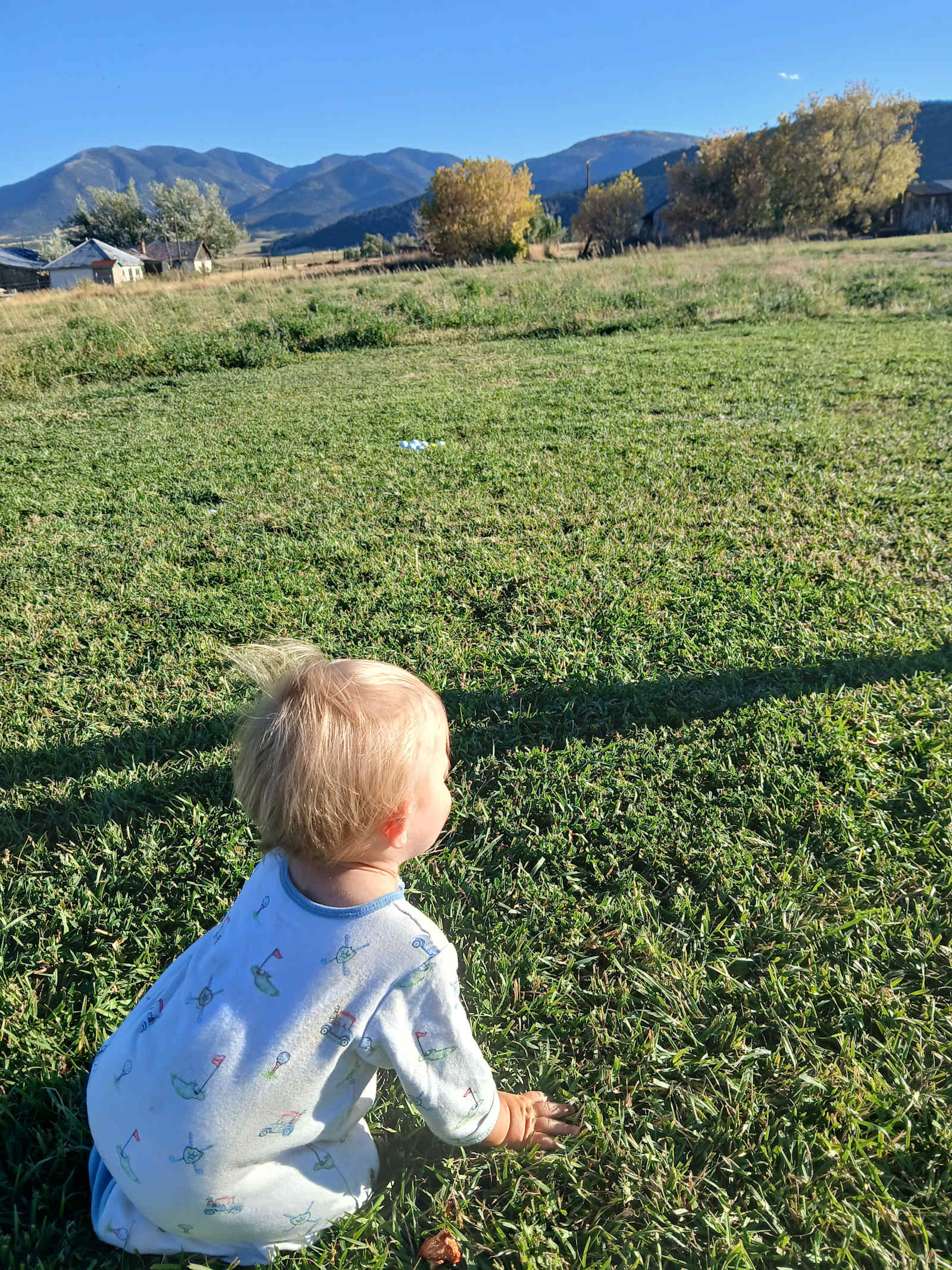 Camp Two Oasis - Gardner, Colorado - glamping.directory