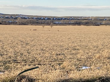 Lovely Cabins with a View near the Bighorn River in Fort Smith, Montana - Fort Smith, Montana - glamping.directory
