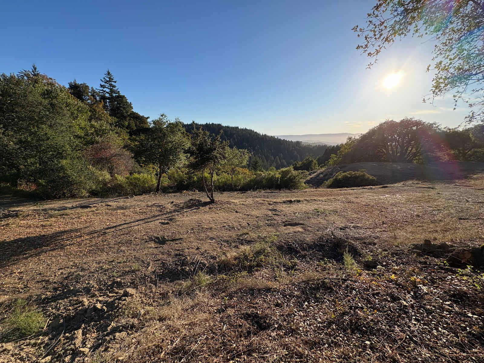 Quail Ridge Farm - Los Gatos, California - glamping.directory