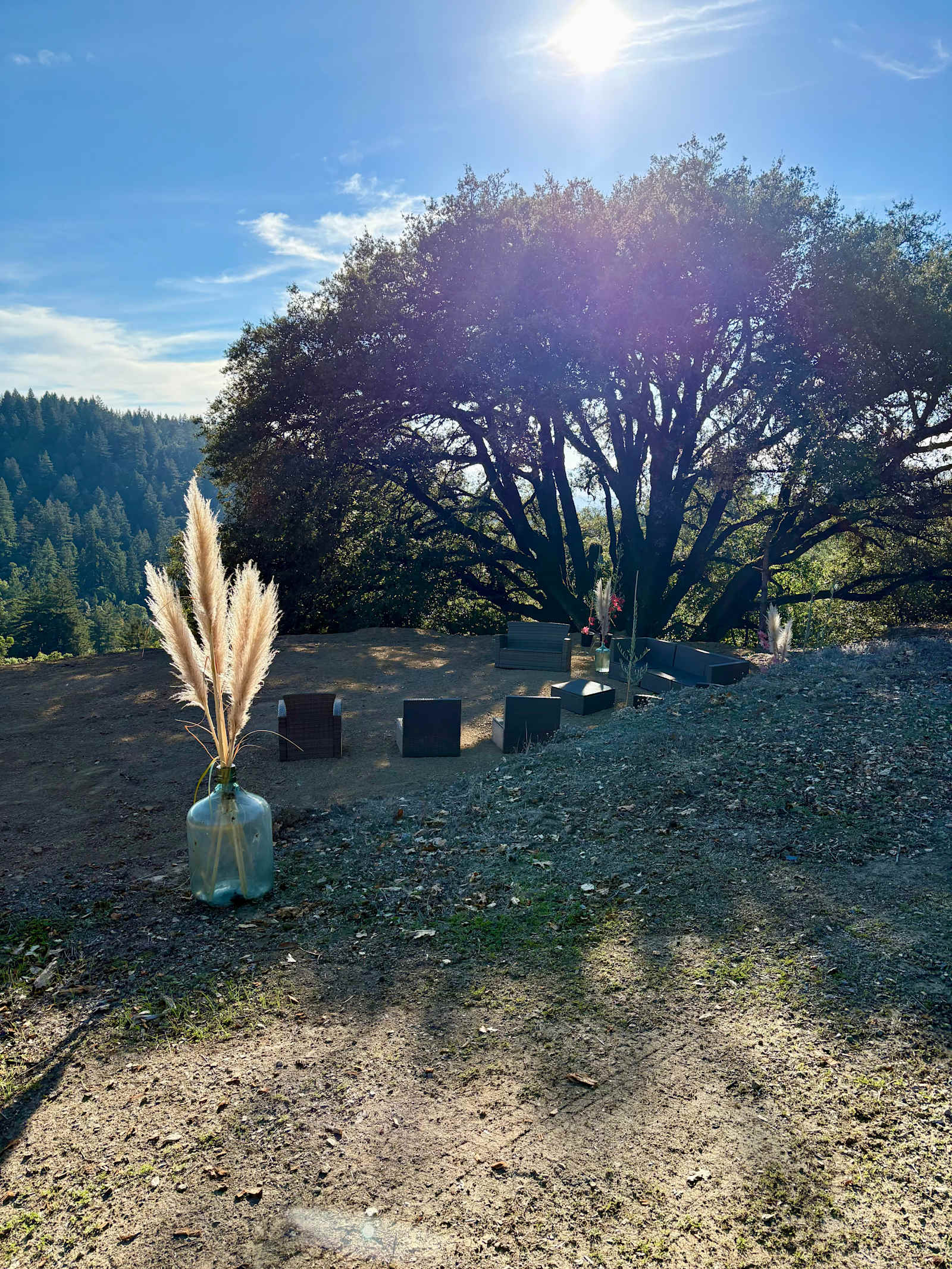Quail Ridge Farm - Los Gatos, California - glamping.directory