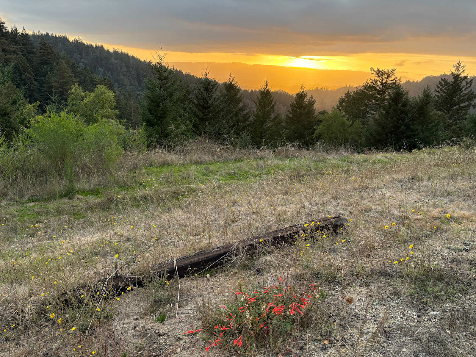 Quail Ridge Farm - Los Gatos, California - glamping.directory