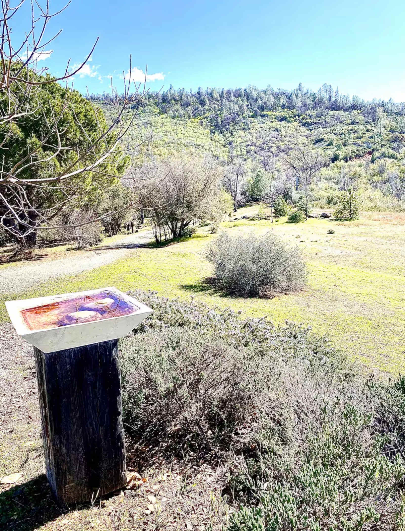 The Sanctuary - Midpines, California - glamping.directory
