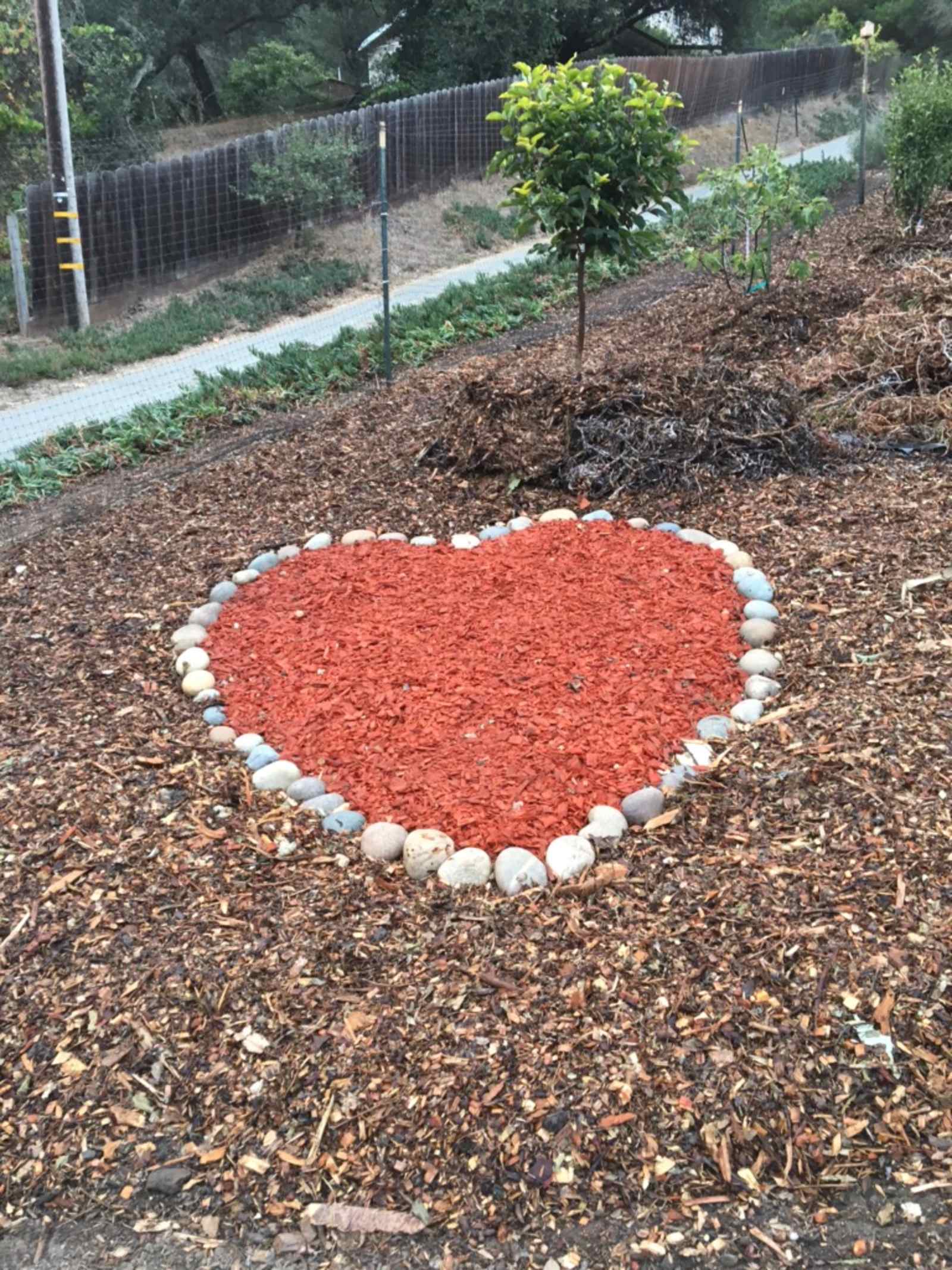 Vega Vortex-Gaia Health Retreat - Royal Oaks, California - glamping.directory