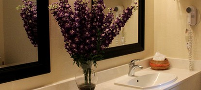 Beautiful King-Size Suite on a Family-Friendly Resort in the Greer Valley of Arizona - Greer, Arizona - glamping.directory
