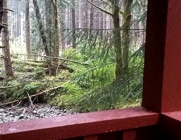 Charming A-Frame Cabin Rental on Prince of Wales Island in Hollis, Alaska - Hollis, Alaska - glamping.directory