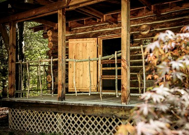 Rustic Log Cabin, Ideal for a New York Glamping Getaway - Penn Yan, New York - glamping.directory